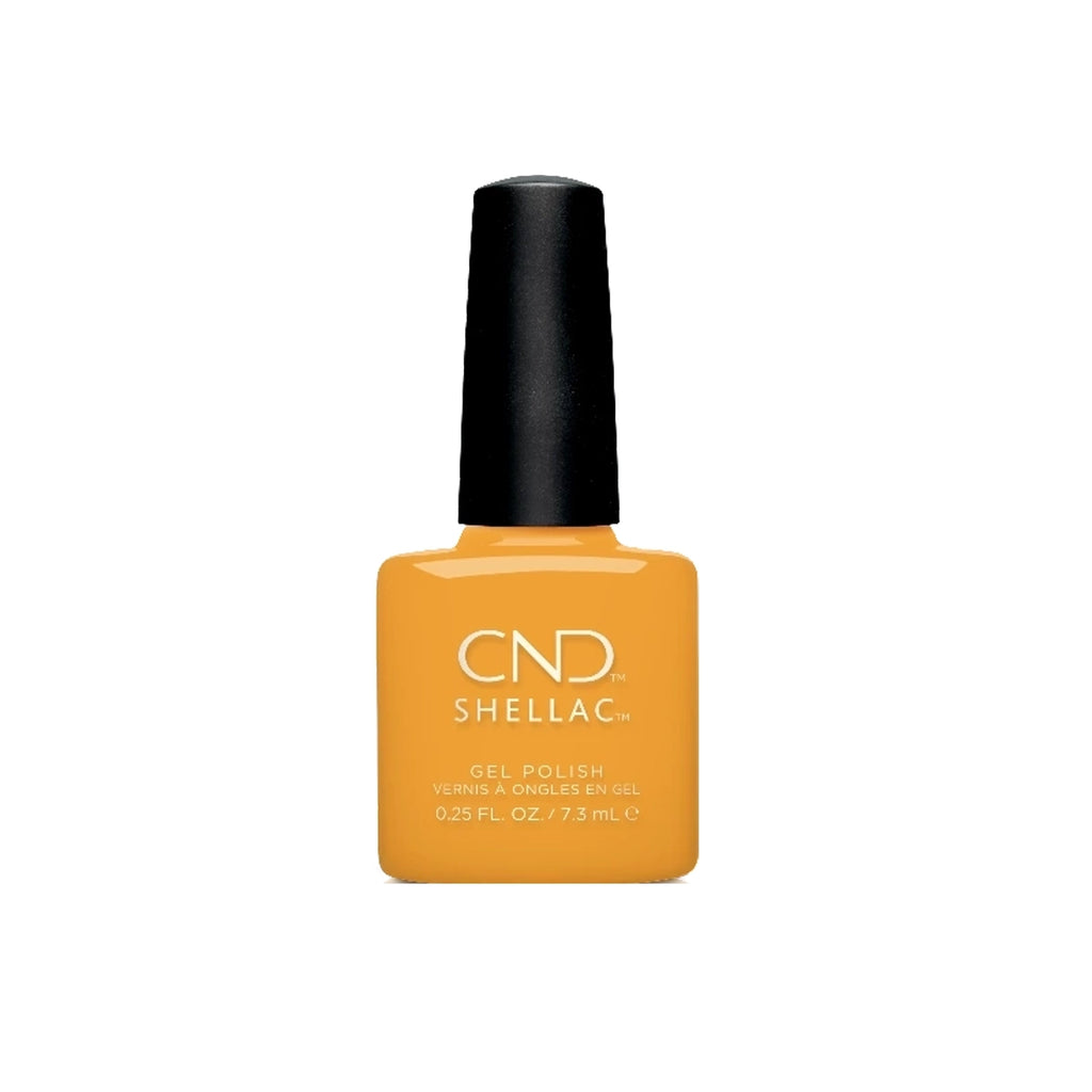 PRO CND SHELLAC PROMO - палитра 3