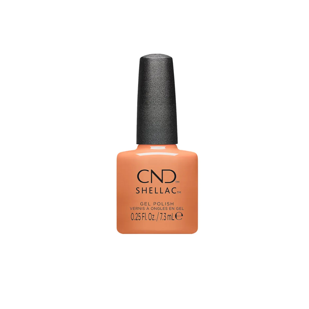 PRO CND SHELLAC - палитра 4