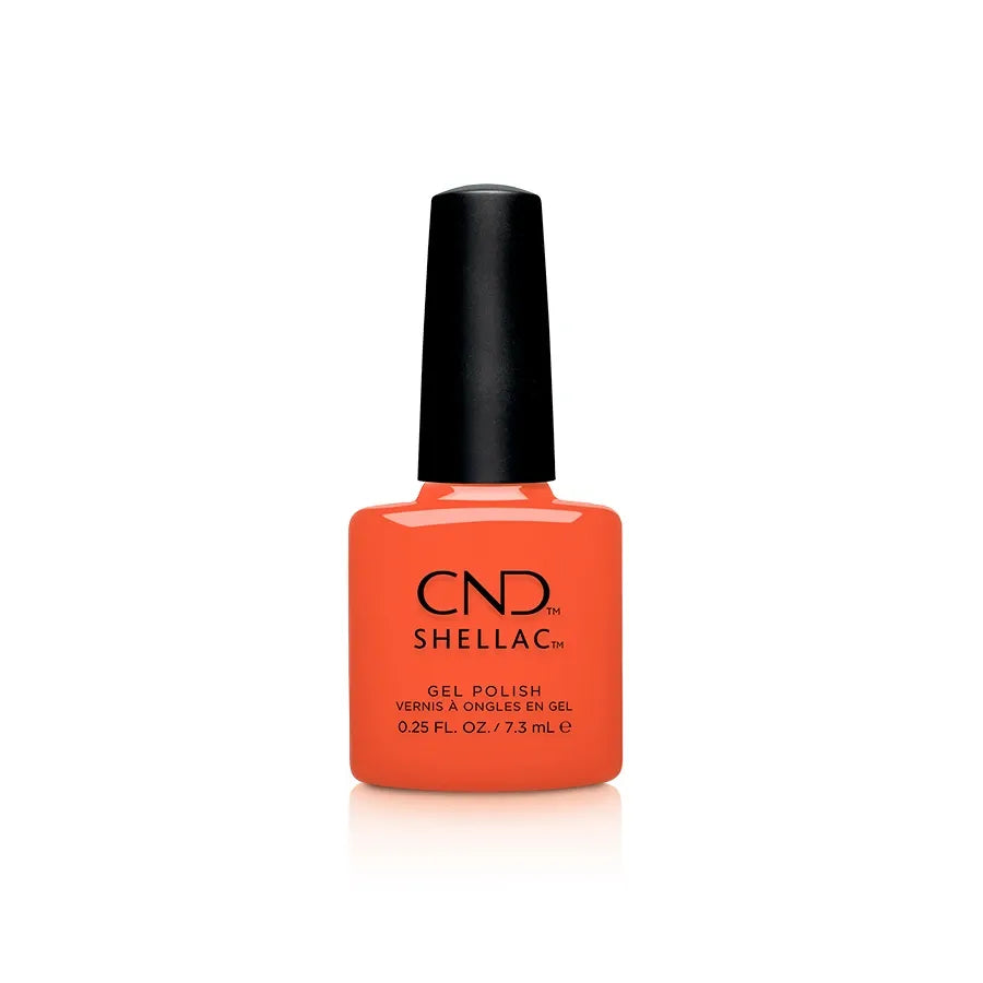 PRO CND SHELLAC - палитра 6