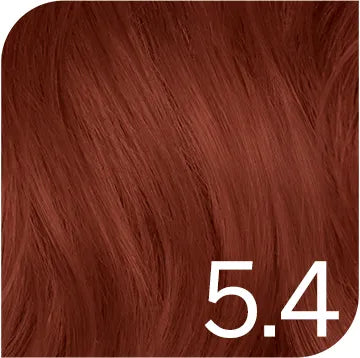 PRO Outlet REVLONISSIMO CC - боя за коса - палитра 1