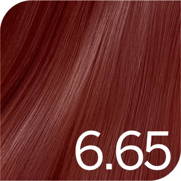 PRO Outlet REVLONISSIMO CC - боя за коса - палитра 2